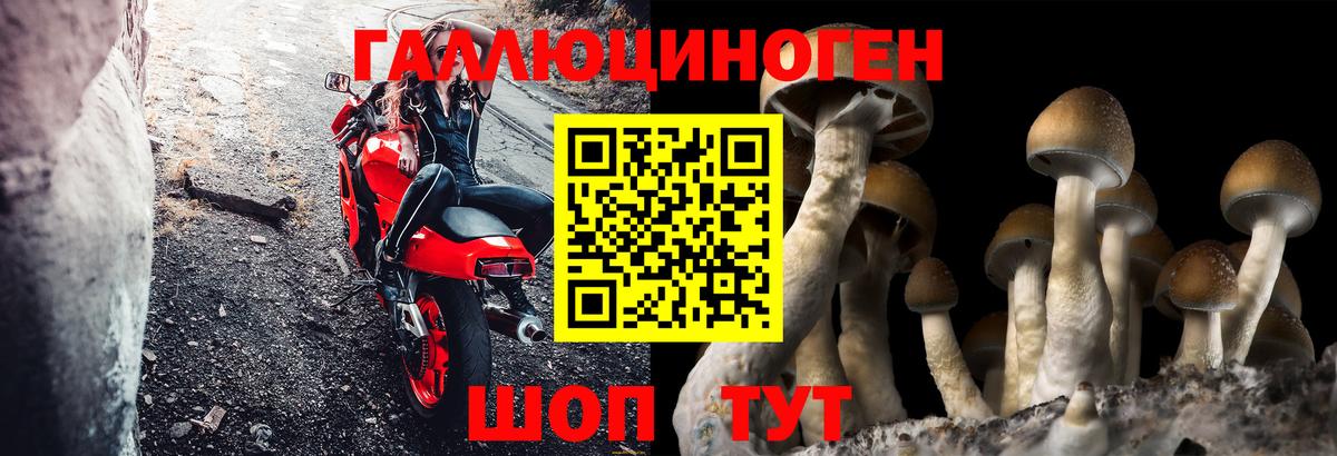 Псилоцибиновые грибы мицелий Чусовой