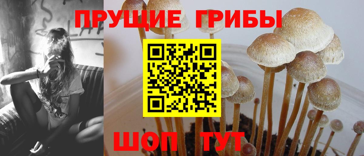 Галлюциногенные грибы мицелий  Вход с VPN  где найти   Чусовой  Галлюциногенные грибы Magic Shrooms 
